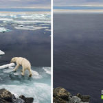 EarthApp – La risposta di Greenpeace a FaceApp