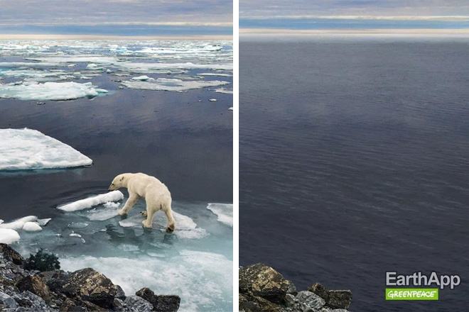 EarthApp – La risposta di Greenpeace a FaceApp