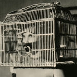 wo/MAN RAY. Le seduzioni della fotografia