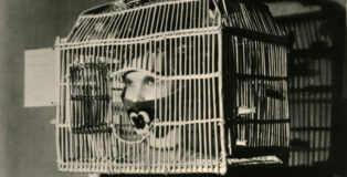 Man Ray. Resurrection des mannequins (Mannequin di André Masson. Mannequin with a bird cage over her head.) (detail), 1938/1966. Stampa vintage ai sali d’argento. Cm 43 x 33. Collezione privata, Parma © Man Ray Trust by SIAE 2019.