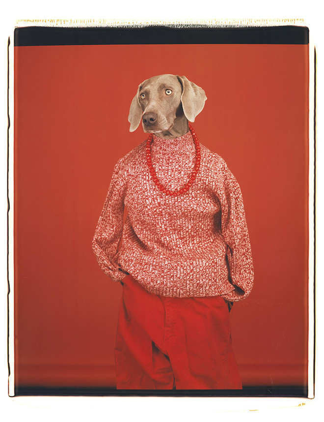 William Wegman - Casual, 2002. Polaroid a colori. Proprietà dell’artista © William Wegman