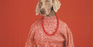 William Wegman - Casual (dettaglio), 2002. Polaroid a colori. Proprietà dell’artista © William Wegman