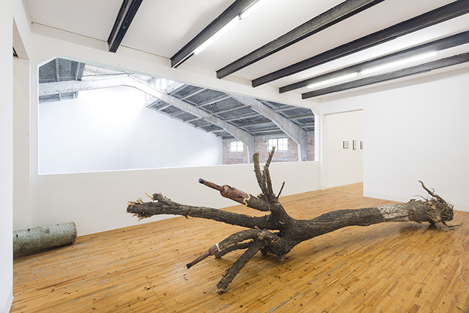 KADER ATTIA - Artificial nature, 2014, albero mutilato, protesi (mutilated tree, prosthesis). Courtesy: the artist and GALLERIA CONTINUA, San Gimignano / Beijing / Les Moulins / Habana. Photo by: Oak Taylor-Smith