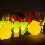 teamLab – Autonomous Resonating Life on the Water and Resonating Trees – Dragonfly Lake