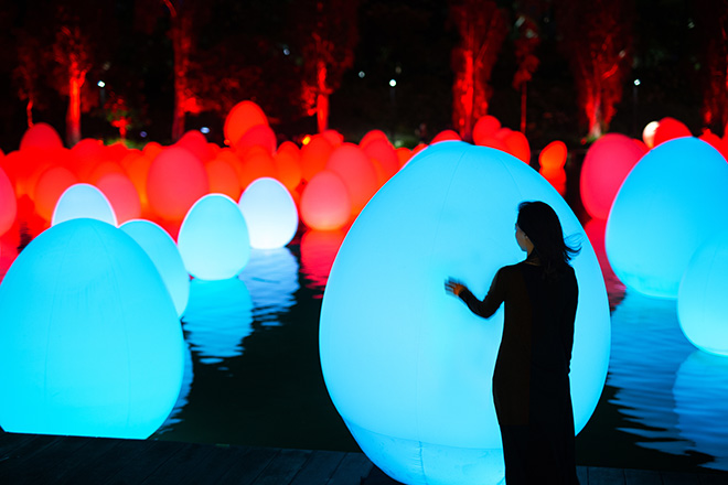 teamLab - Autonomous Resonating Life on the Water and Resonating Trees - Dragonfly Lake, 2019, Interactive Digital Installation, Endless, Sound: Hideaki Takahashi © teamLab.  teamLab is represented by Pace Gallery.