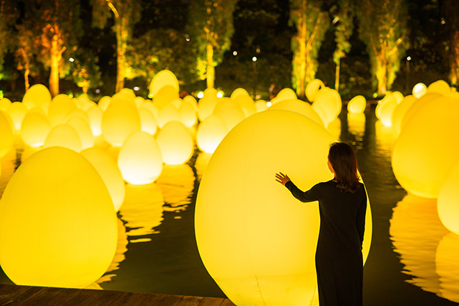 teamLab - Autonomous Resonating Life on the Water and Resonating Trees - Dragonfly Lake, 2019, Interactive Digital Installation, Endless, Sound: Hideaki Takahashi © teamLab.  teamLab is represented by Pace Gallery.