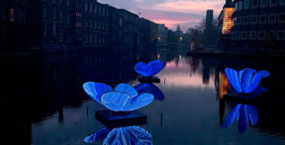 Masamichi Shimada - Butterfly Effect, Amsterdam Light Festival, 2019-2020