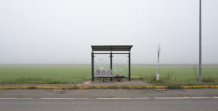 Fermata Continua - Fotografie di Gabriele Calamelli