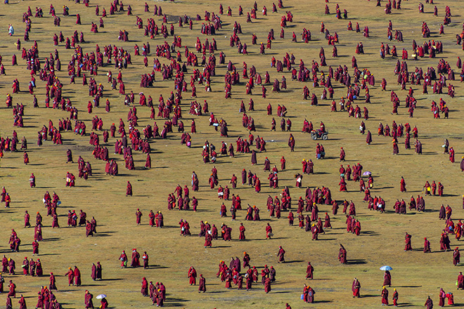 Shinya Itahana - Pattern Of Grassland, PEOPLE, URBAN 2019 Photo Awards