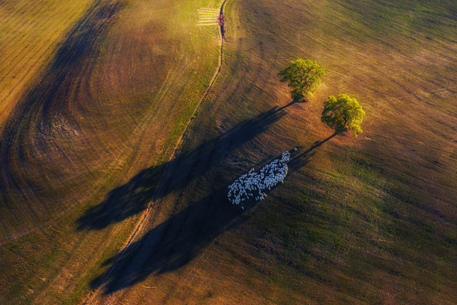 Marek Biegalski - Shadow game, Italy, Equipment used: DJI Mavic Pro 2. Winner - Landscape category, Nature TTL. © Nature TTL / Marek Biegalski