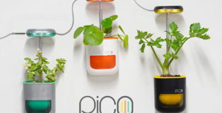 PICO - Il giardino in palmo di mano