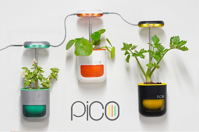 PICO – Il giardino in palmo di mano