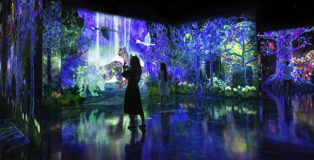 teamLab Forest - Catching and Collecting Forest, Fukuoka, Japan