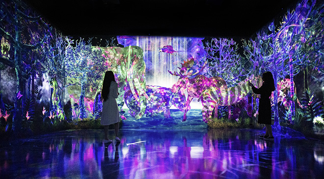 teamLab Forest - Catching and Collecting Forest, Fukuoka, Japan