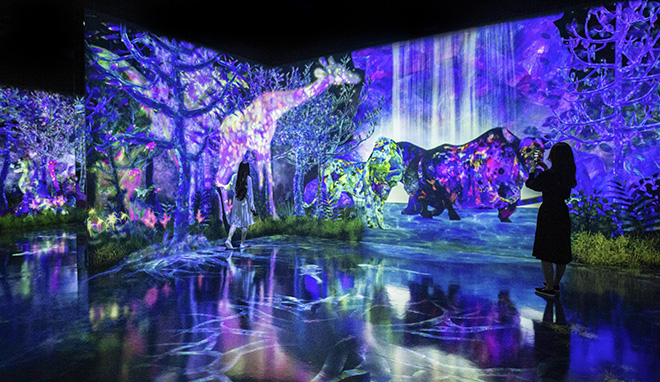 teamLab Forest - Catching and Collecting Forest, Fukuoka, Japan