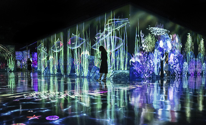 teamLab Forest - Catching and Collecting Forest, Fukuoka, Japan