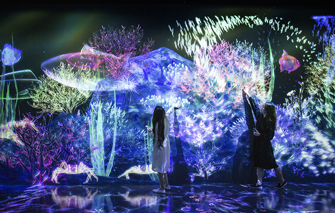 teamLab Forest - Catching and Collecting Forest, Fukuoka, Japan