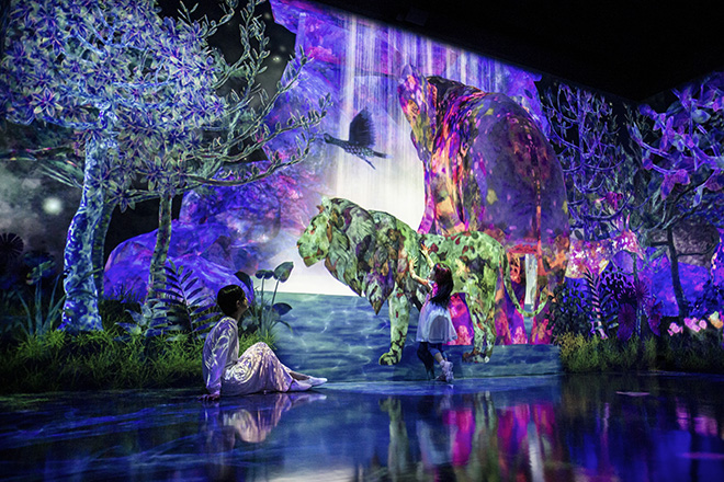 teamLab Forest - Catching and Collecting Forest, Fukuoka, Japan