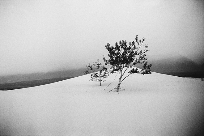 John R. Pepper - Chara Sands, Siberia, Russia, 2015