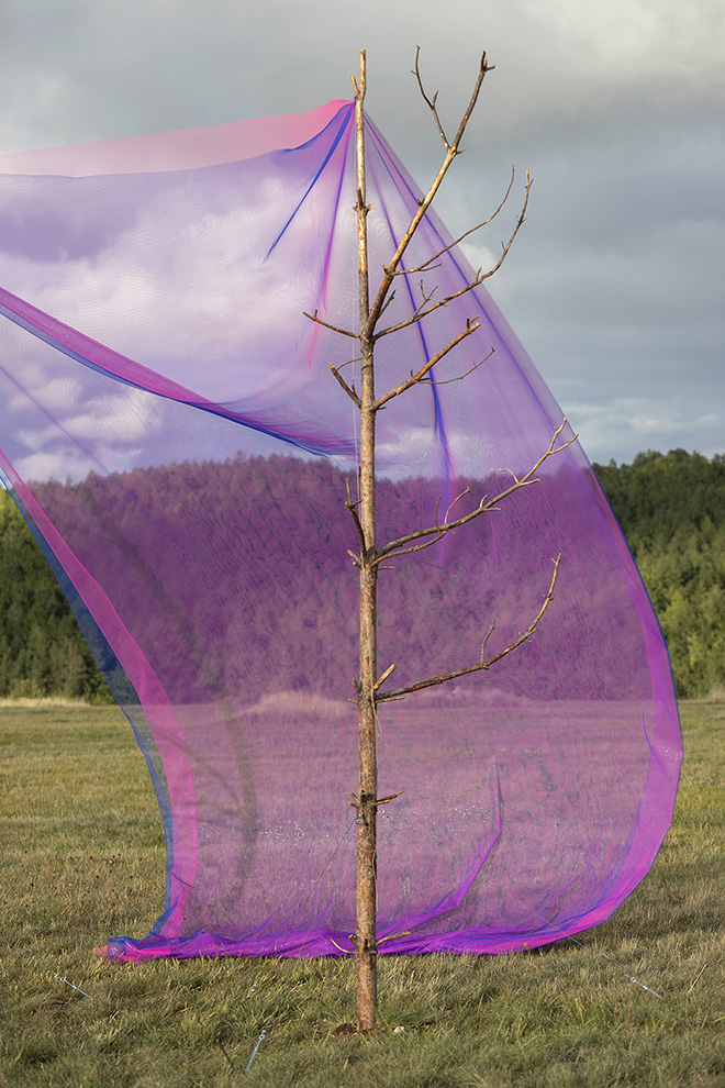 Alberonero - Monte Immagine. Installazione ambientale, Vallo di Nera (PG). photo credit: ©Roberto Conte