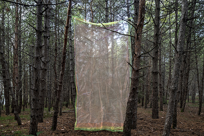 Alberonero - Monte Immagine. Installazione ambientale, Vallo di Nera (PG). photo credit: ©Roberto Conte