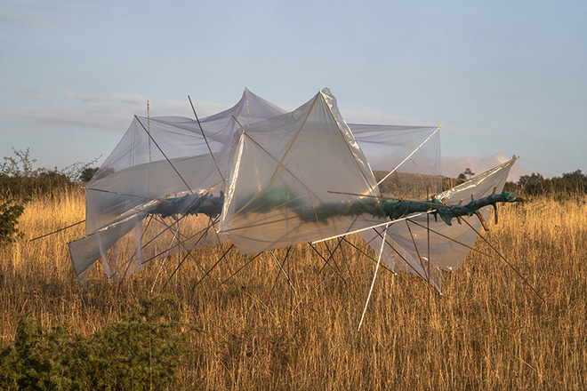 Alberonero - Monte Immagine. Installazione ambientale, Vallo di Nera (PG). photo credit: ©Roberto Conte