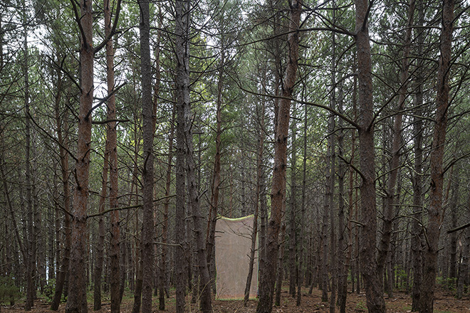 Alberonero - Monte Immagine. Installazione ambientale, Vallo di Nera (PG). photo credit: ©Roberto Conte