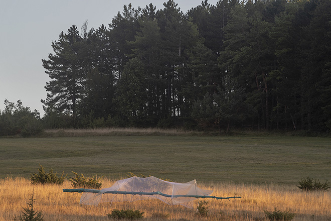 Alberonero - Monte Immagine. Installazione ambientale, Vallo di Nera (PG). photo credit: ©Roberto Conte