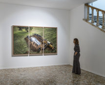 Omelia contadina, Dario Sforza, Sepoltura, Tryptique, Castel Giorgio, Italie, 2019. Color print, dibond, mat plexiglass, american flushed maple frame 160 x 260 x 9 cm in total (3 panels). Courtesy: the artist and GALLERIA CONTINUA Photo by: Ela Bialkowska, OKNO Studio.