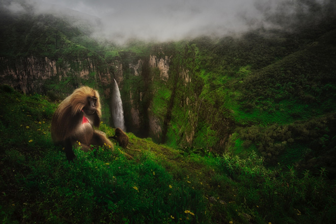 Riccardo Marchegiani - Utopia, 1 classificato Under 20, Siena International Photo Awards 2020