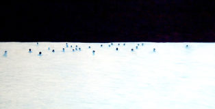 Niccolò Masini - The Northern light series. DALLA SERIE DI LUCE DEL NORD / Niccolò Masini (Pellegrini) (Schermate) - Installazione video singolo canale - 4 min e 45 secondi [in loop] (2020) - 640 Tecnica mista su carta set in animazione stop-frame.