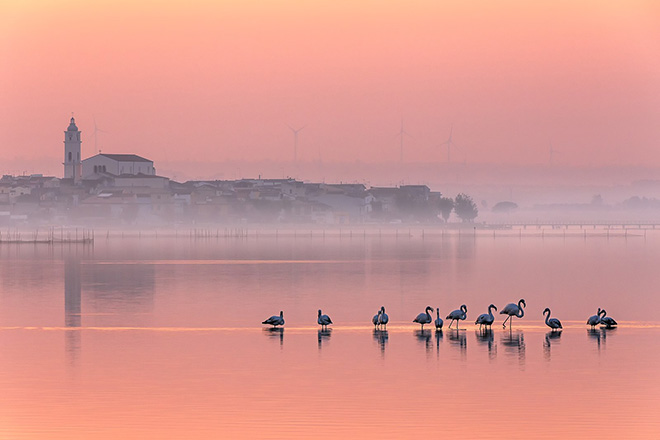 Alberto Busini - Tutto rosa, Lesina (FG), Wiki Loves Monuments 2020