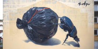 Murmure street - Dung Beetle, Festival Point de Vue, Bayonne (France), 2020