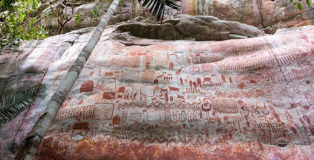 "Sistine Chapel of the ancients", Amazon Forest, Columbia - Photograph: Marie-Claire Thomas/Wild Blue Media