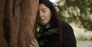 Complaining to the Tree - Abramovic Method