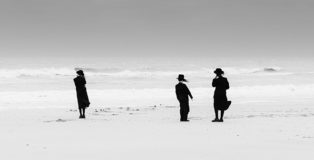 Eddy Verloes - Losing our minds, Zen at sea