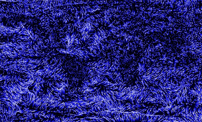 Dotdotdot – “EARTH BITS – Sensing the Planetary”