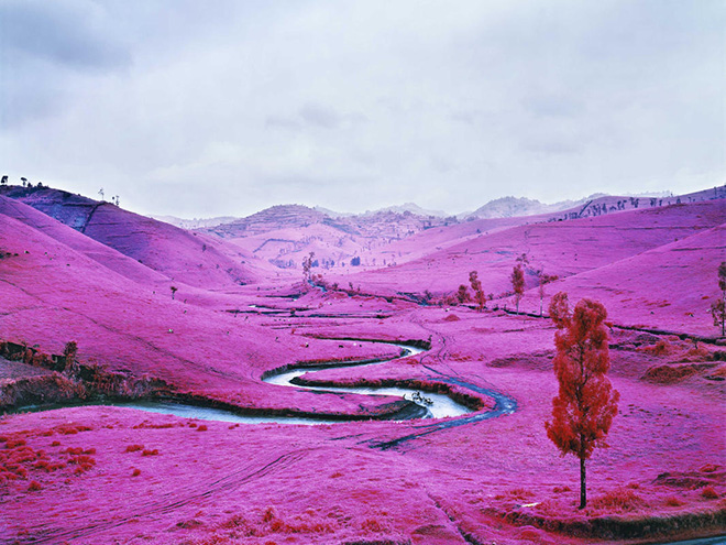 © Richard Mosse - Platon, eastern Democratic Republic of Congo, 2012. Collection Jack Shainman