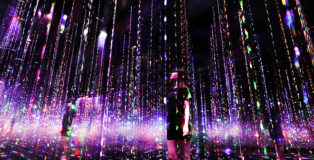 teamLab - Reconnect, Ephemeral Solidified Light