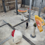 Carsten Höller – Nuovo long term project