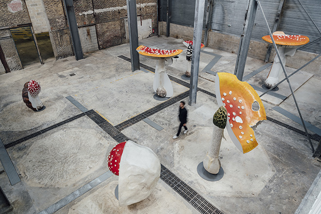 Carsten Höller – Nuovo long term project