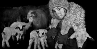 Istvan Kerekes - Shepherds from Transylvania