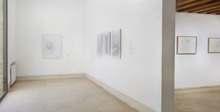 Doppel, Beth Collar and Jesse Darling, A plus A Gallery. exhibition view: photo credit: Clelia Cadamuro