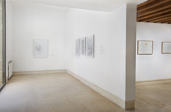 Doppel – Beth Collar, Jesse Darling, A plus A Gallery, Venice