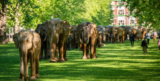 CoExistence - Public art in London, photo credit: Jonathan Clifford