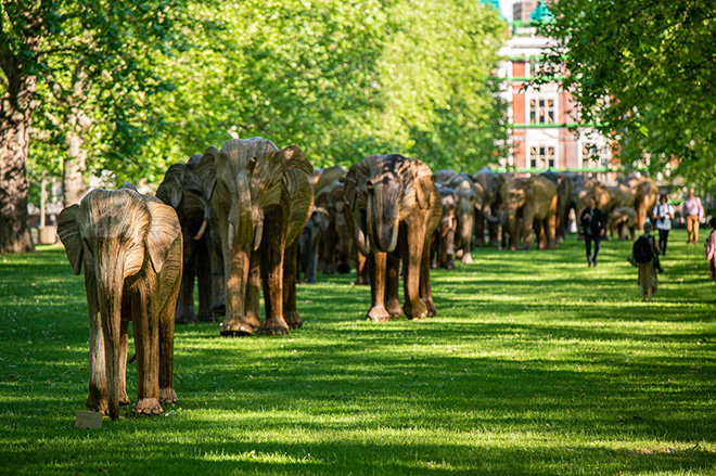 CoExistence – Arte pubblica per sostenere la convivenza tra uomo e fauna selvatica