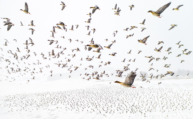 Drone Photo Awards: le più belle immagini aeree del 2021
