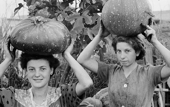 ANDO GILARDI - Giovani donne portano zucche sulla testa. “Le zucche, d’estate sono mangime, d’inverno cibo”. Quando il gallo canta a Qualiano, ampia fotoinchiesta di Gilardi sulla sindacalizzazione dei braccianti agricoli, in questo paese particolarmente sentita. Qualiano (Napoli), ottobre 1954. © Fototeca Gilardi