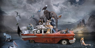 ©Marcin Owczarek - IN SEARCH OF UTOPIA, 2021
