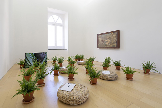 Zheng Bo - Pteridophilia 2 (2018), Rethinking Nature, Madre Napoli, installation view. Photo ©️ Amedeo Benestante